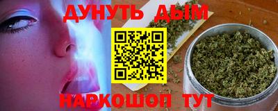 индика Нальчик