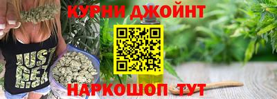 индика Нальчик
