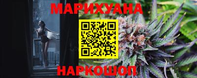 индика Нальчик